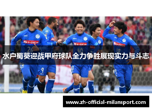 水户蜀葵迎战甲府球队全力争胜展现实力与斗志